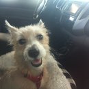 Trip to Kim's House (627396)