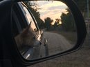 Roadtrip with Atti (628424)