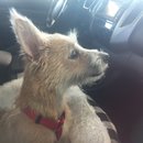 Trip to Kim's House (627408)