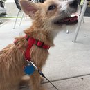 Roadtrip with Atti (628548)