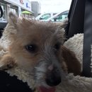 Roadtrip with Atti (628582)