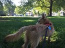 Atti at a KC Park (629661)