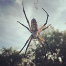 Roadtrip with Atti (628539)