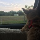 Roadtrip with Atti (628551)