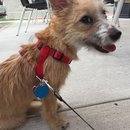 Roadtrip with Atti (628556)