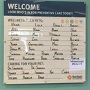 Atti Surgery (628568)