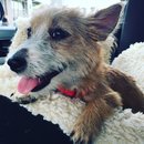 Roadtrip with Atti (628527)