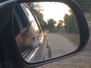 Roadtrip with Atti (628586)