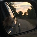 Roadtrip with Atti (628571)