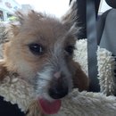 Roadtrip with Atti (628534)