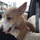 Roadtrip with Atti (628532)