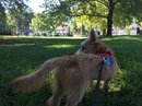 Atti at a KC Park (629754)