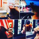 Driving to Missouri with Atti (629716)