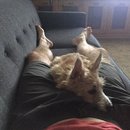 Atti at a KC Park (629769)