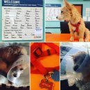 Atti Post Surgery (629721)