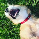 Last Day in Kansas City (631639)