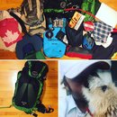 Last Day in Kansas City (631676)