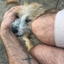 Last Day in Kansas City (631665)