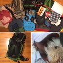 Last Day in Kansas City (631646)