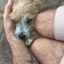 Pretrip Party in KC (633280)