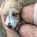 Pretrip Party in KC (633513)