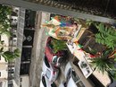 Exploring Bangkok (633450)