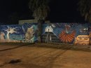 Mural Project Shots (635806)