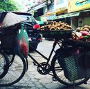 Hanoi, Vietnam (636185)