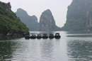 Ha Long Bay (636598)