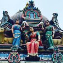 Wandering Around Singapore (641688)