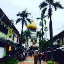 Wandering Around Singapore (641976)