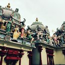 Wandering Around Singapore (642013)