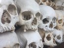 The Killing Fields Genocide Museum (642180)