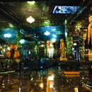 Singapore Zoo and Malaysian Day Trip (642227)