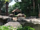 Singapore Zoo and Malaysian Day Trip (642328)
