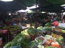 Exploring Phnom Penh (642354)