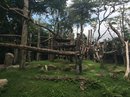 Singapore Zoo and Malaysian Day Trip (642350)