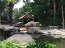 Singapore Zoo and Malaysian Day Trip (642475)