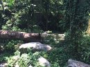 Singapore Zoo and Malaysian Day Trip (642406)