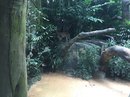 Singapore Zoo and Malaysian Day Trip (642498)