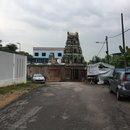 Singapore Zoo and Malaysian Day Trip (642583)