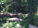 Singapore Zoo and Malaysian Day Trip (642787)