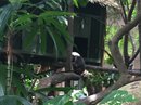 Singapore Zoo and Malaysian Day Trip (642847)