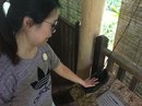 Singapore Zoo and Malaysian Day Trip (642708)