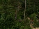 Tegalalang Rice Terraces (642851)