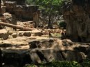 Singapore Zoo and Malaysian Day Trip (643100)