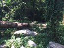 Singapore Zoo and Malaysian Day Trip (643035)