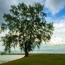 Kusu Island Day Trip (642981)