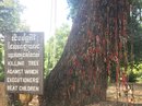 The Killing Fields Genocide Museum (642962)