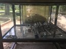 The Killing Fields Genocide Museum (642932)